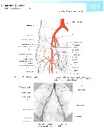 Sobotta  Atlas of Human Anatomy  Trunk, Viscera,Lower Limb Volume2 2006, page 366